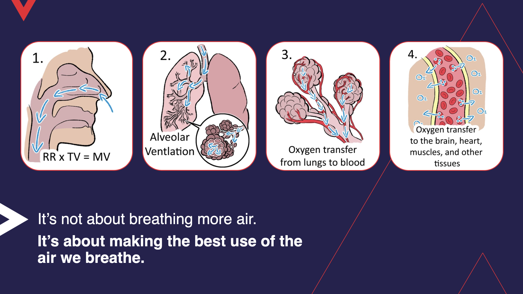 Oxygen Advantage Breathing for Cycling Animation