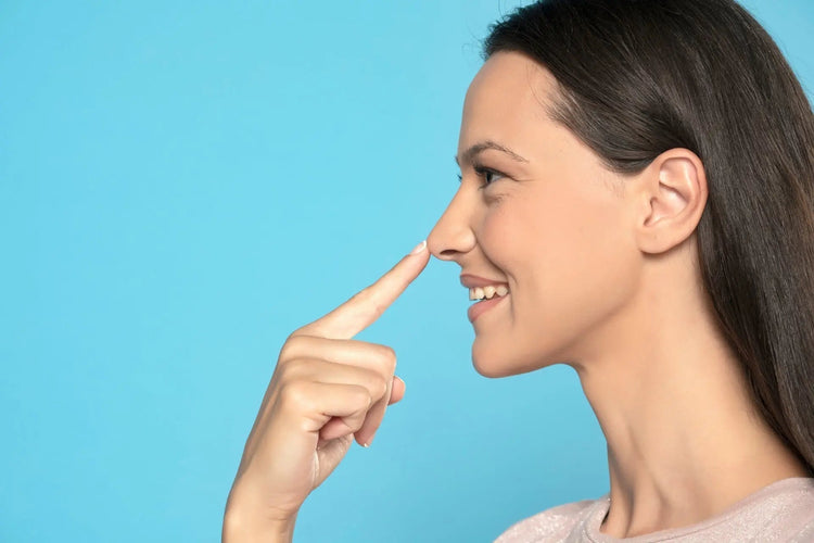 31 functions of the nose