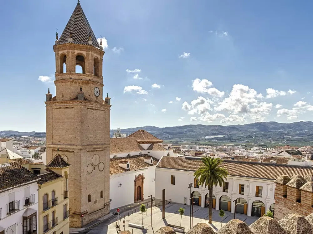 OA Advanced Training Malaga June 2026