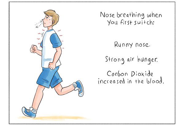 Illustration of body state during switch to nasal breathing.