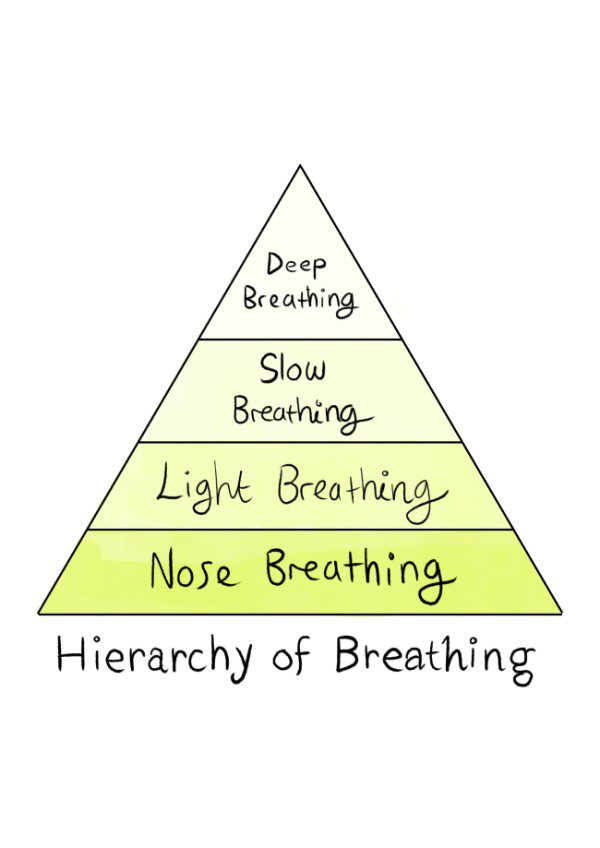 Hierarchy of breathing