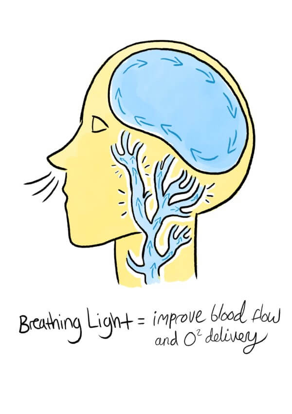 Blood flow oxygenation illustration