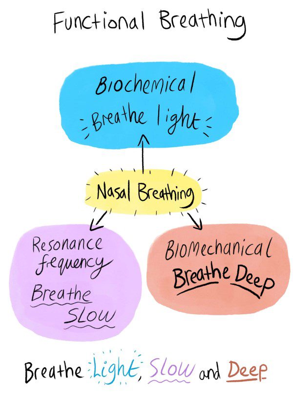 Functional breathing diagram.