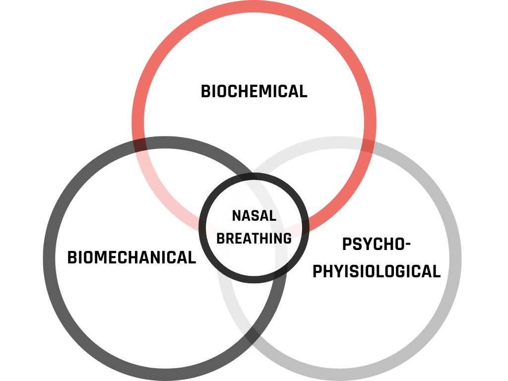 Functional Breathing Venn Diagram