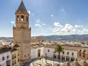 OA Advanced Training Malaga June 2026